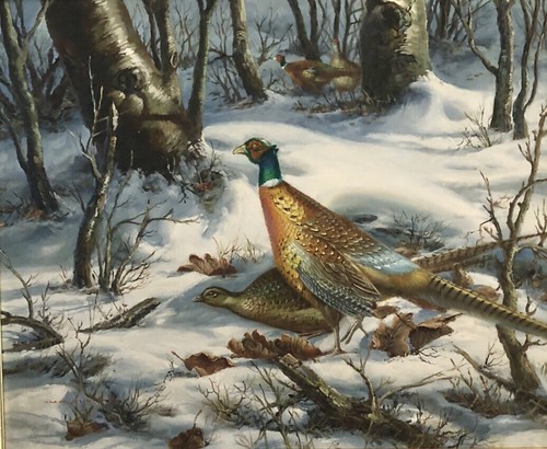 Pheasant shooting oil - pheasant, painting