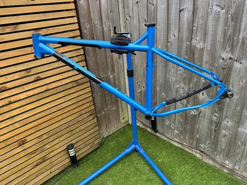 Ragley blue pig frame - frame, large