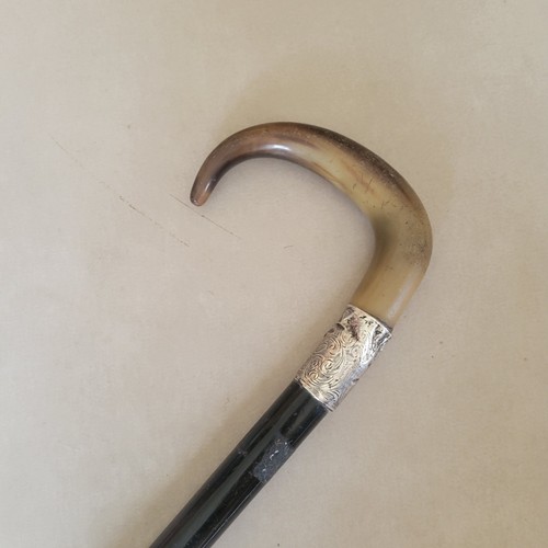Antique walking cane - walking,