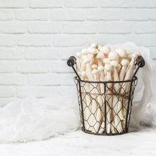 Double-sided Backdrop Paper Waterproof Photography Background for