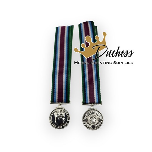 Wider service miniature - miniature, medal