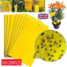 20Pcs Yellow Sticky Fly Trap Paper Fruit Flies Insect Aphids Glue Catcher Bug UK
