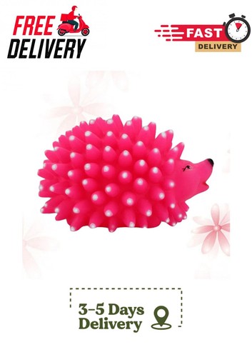 Pet hedgehog toys - pet,