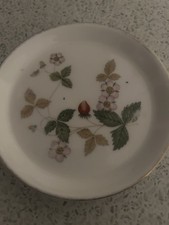 Wedgewood Bone China Wild