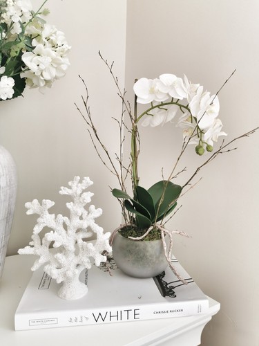 Stone potted white - potted, with