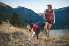 Ruffwear Web Master Dog