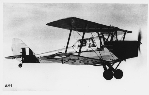 Tiger moth aviation photo - tiger,