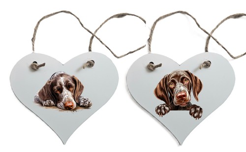 German shorthaired pointer - german,