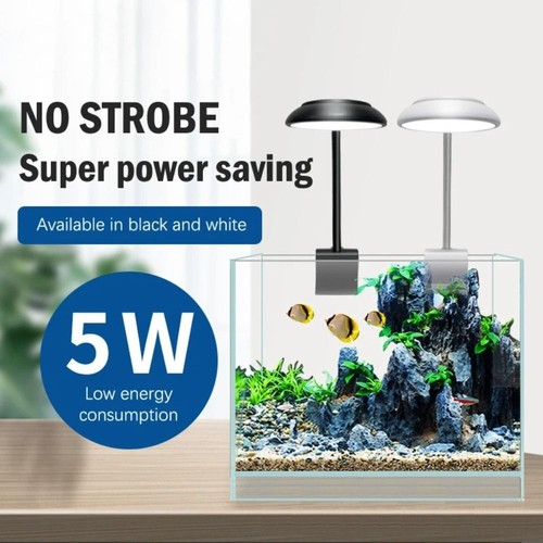 Aquarium light led lamp - light, aqua