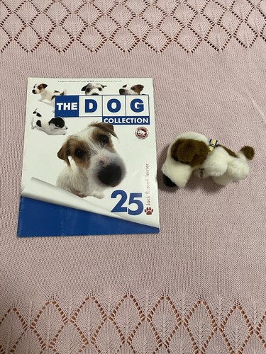 The dog collection jack - the,