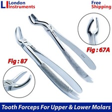 Fig 67A Upper Third Wisdom &