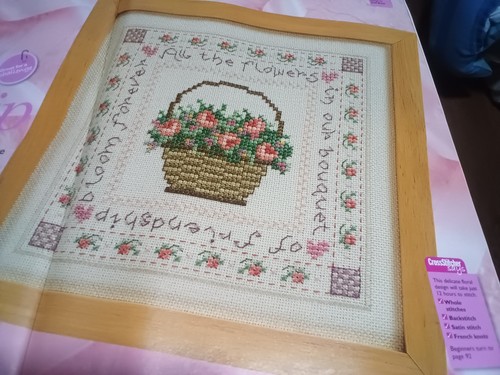 B33 friendship sampler cross - sampler,