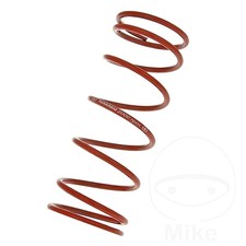 Naraku Variator Spring