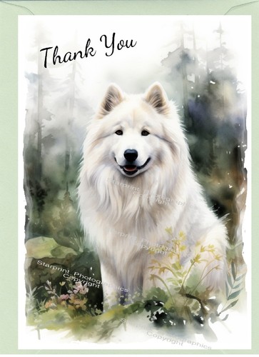 Samoyed dog thank - samoyed,