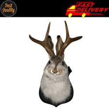 Animal Wall Sculpture –