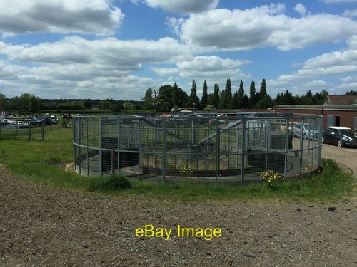 Photo 6x4 pachesham equestrian - photo,