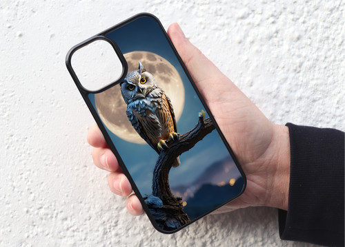 Nocturnal owl bird - nocturnal,