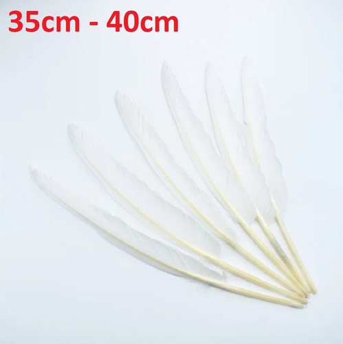 Extra large white goose - extra,