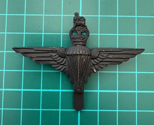 Parachute regiment operational - parachute,