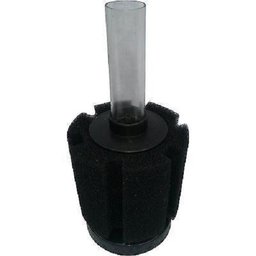 Bio sponge aquarium goldfish - bio,