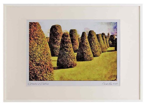 625003 topiary packwood house - packwood,