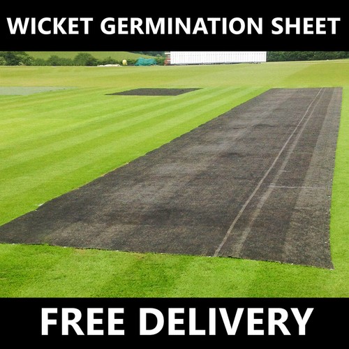 Cricket pitch germination - pitch,