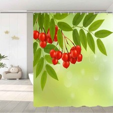 Attractive Fruit Waterproof Bath Polyester Shower Curtain Liner Water Resistant