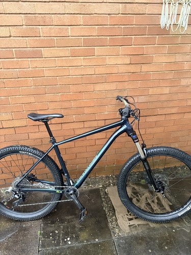 Cannodale cujo hardtail - cannodale,