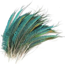 10 pcs Peacock Sword Tail Herl