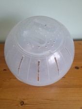 LARGE RODENT PLAY/ EXCERCISE