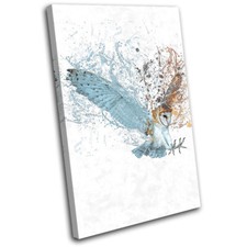 Barn Owl Splash Abstract