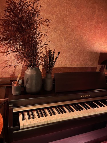 Kawai cn27 digital piano - cn27,