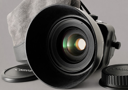 Near mint canon ts e - 【near, ts-e