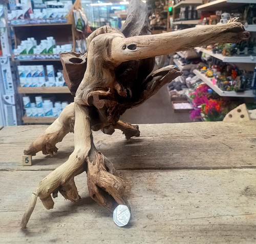 Gnarly scapers wood aquarium - gnarly,