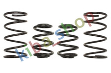 1x LOWERING SPRING PRO-KIT