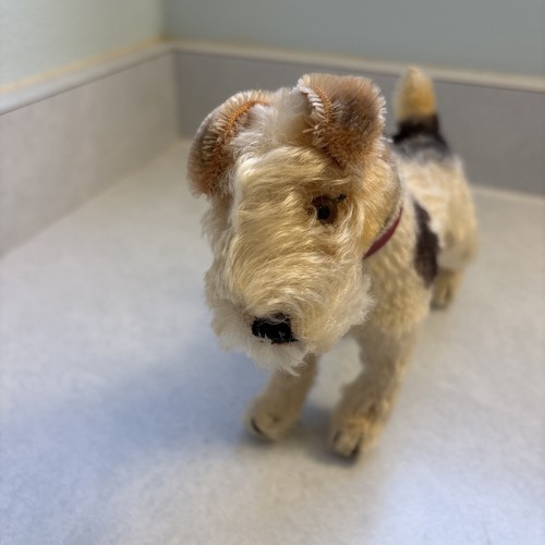 Vintage steiff fox terrier dog - fox,