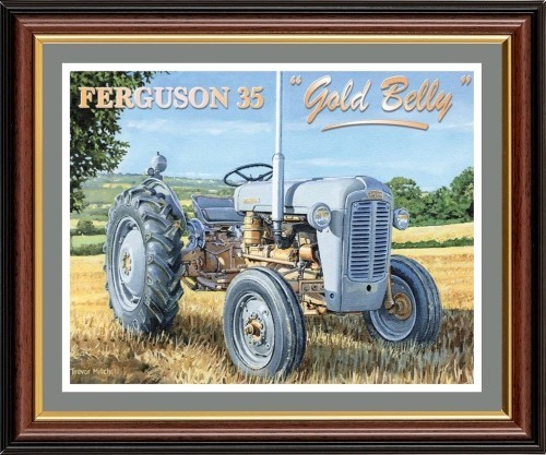 Ferguson gold belly the - gold,