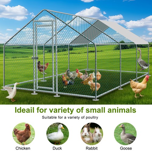 Large metal chicken - 10,