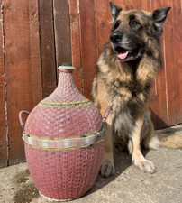 Vintage Antique Large Glass Jar Bottle Carboy Demijohn Garden Planter Terrarium