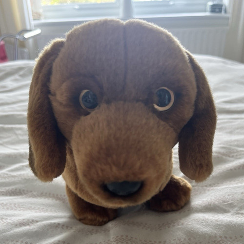 Webkinz signature brown - webkinz,