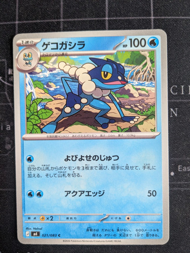 Pokemon japanese ninja - pokemon,