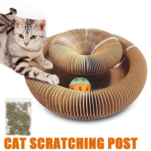 Cat scratching board with ball - scratching,