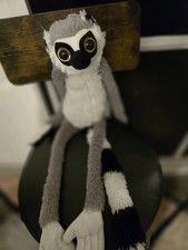 Ring Tailed Lemur Large Nature