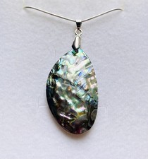 Sale Stunning Natural Abalone