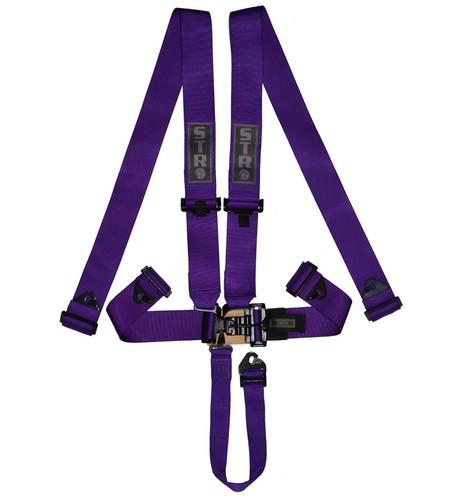 Nascar race harness point - nascar,