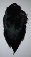 Dyed Black Cock Pheasant Rump