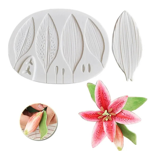 Lily petal flower - flower, leaves