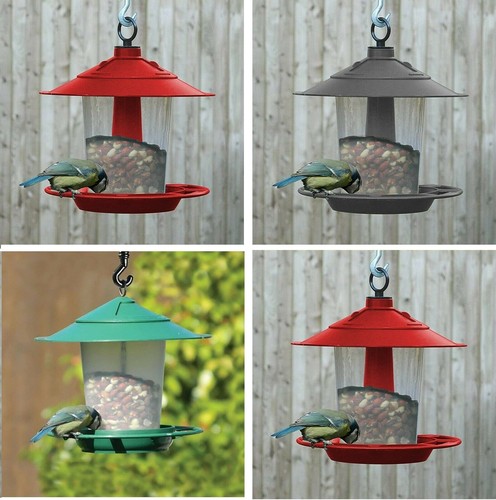 Hanging wild bird - hanging, seed