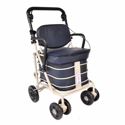 Shopping trolley with - shopping,