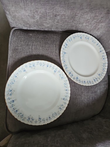 Pair 4 in dinner - pair,